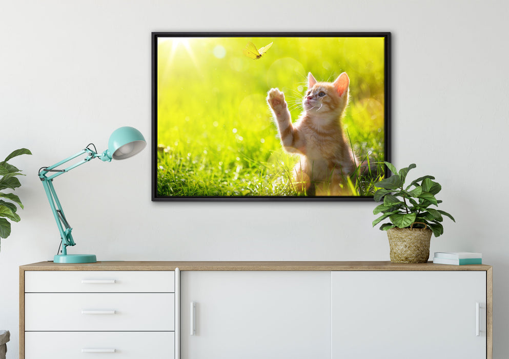 Kätzchen jagt schmetterling auf Leinwandbild gerahmt verschiedene Größen im Wohnzimmer