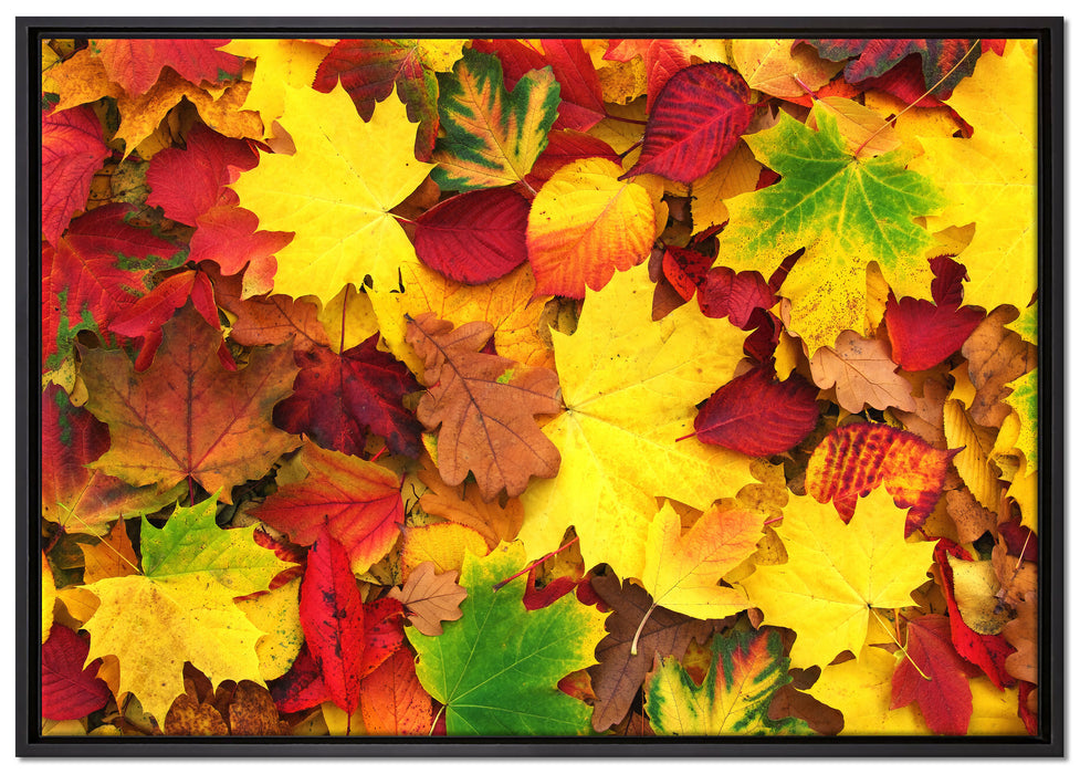 Herbstblätter auf Leinwandbild gerahmt Größe 100x70