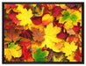 Herbstblätter auf Leinwandbild gerahmt Größe 80x60