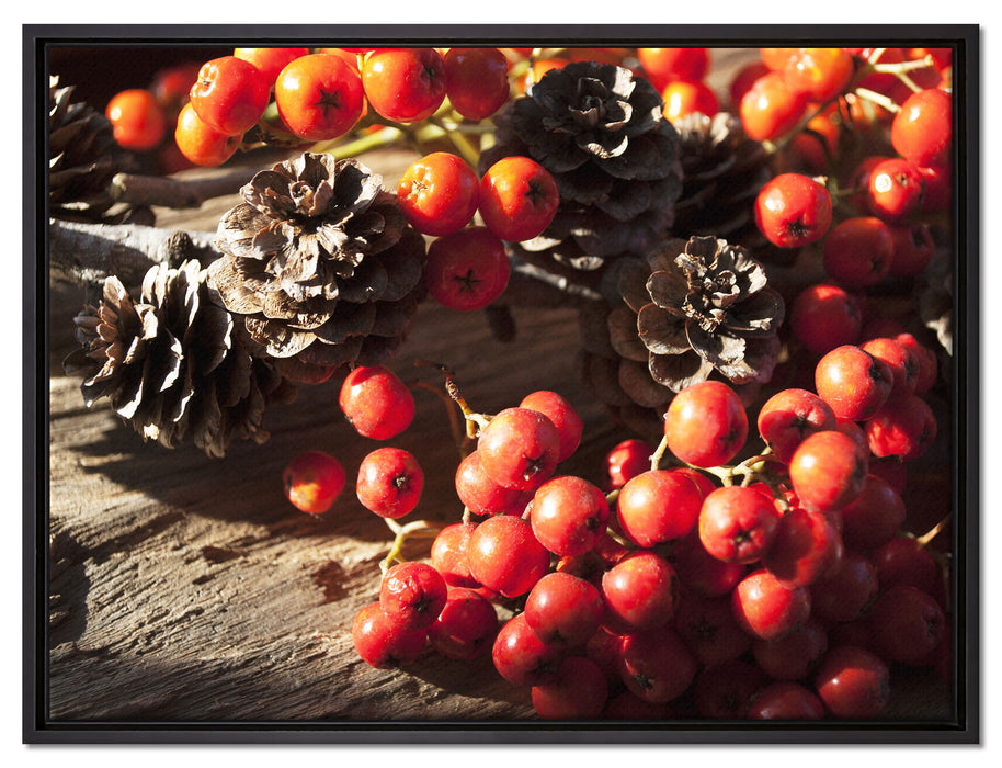 Vogelbeeren und Tannenzapfen auf Leinwandbild gerahmt Größe 80x60