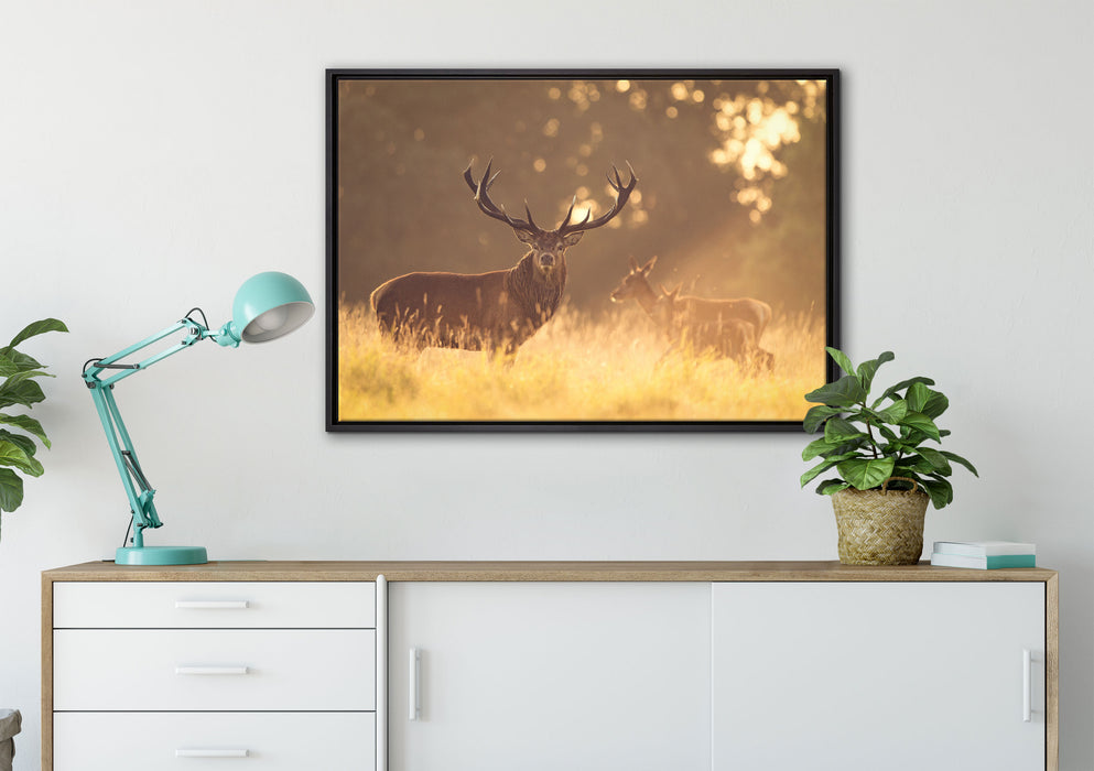 Rotwild im goldenen Morgenlicht auf Leinwandbild gerahmt verschiedene Größen im Wohnzimmer