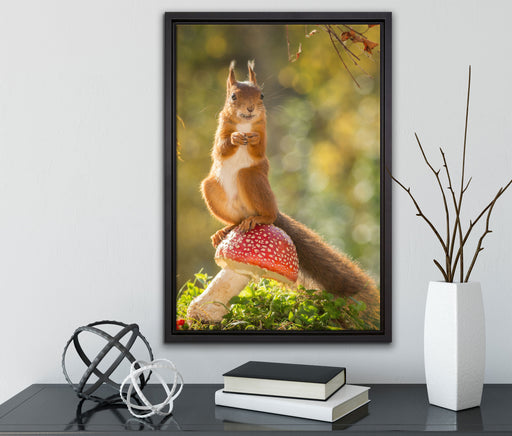 Eichhörnchen auf Fliegenpilz auf Leinwandbild gerahmt mit Kirschblüten