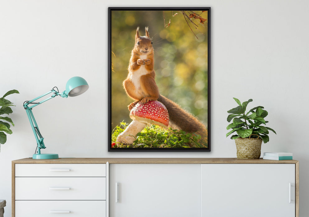 Eichhörnchen auf Fliegenpilz auf Leinwandbild gerahmt verschiedene Größen im Wohnzimmer