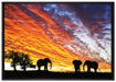Elefanten in Wüste auf Leinwandbild gerahmt Größe 100x70