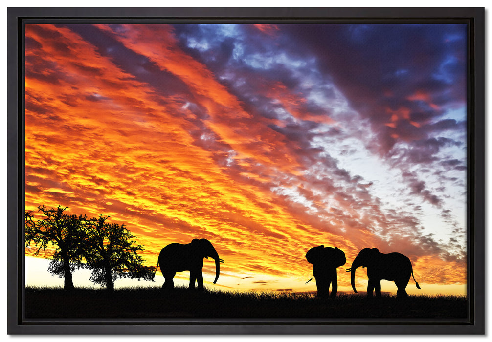 Elefanten in Wüste auf Leinwandbild gerahmt Größe 60x40