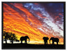 Elefanten in Wüste auf Leinwandbild gerahmt Größe 80x60