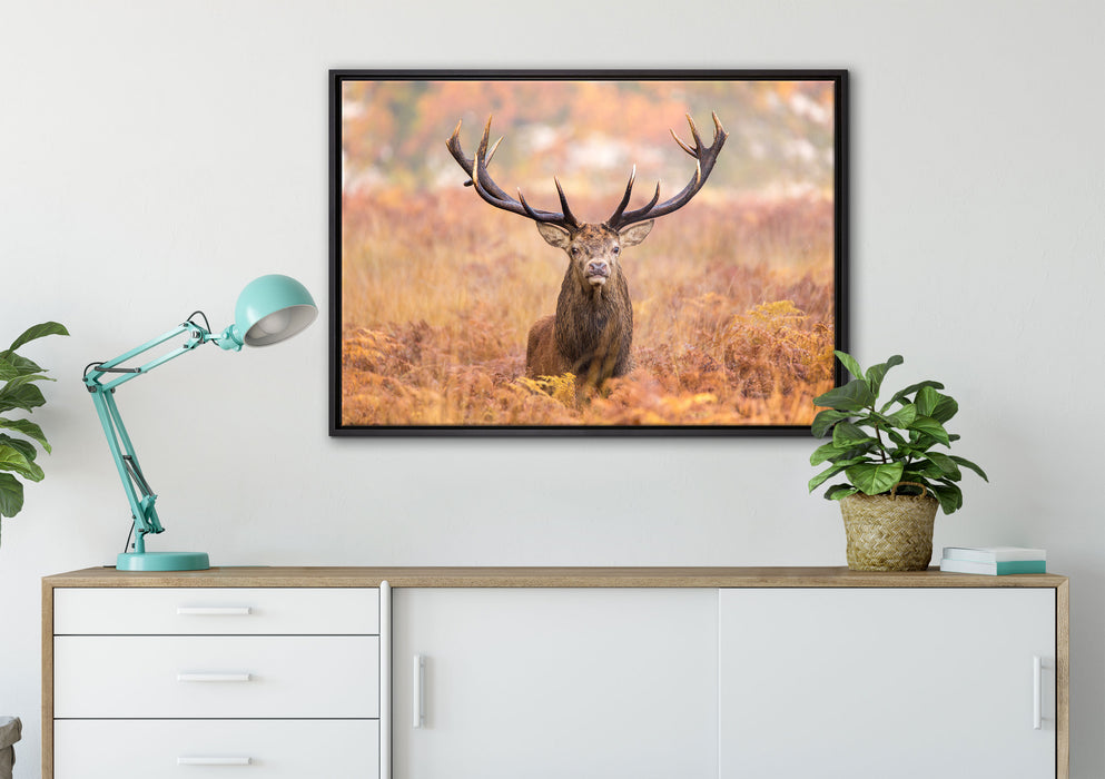 Großer Hirsch im Feld auf Leinwandbild gerahmt verschiedene Größen im Wohnzimmer