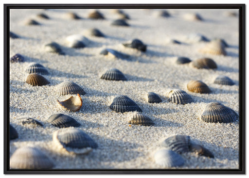 Muscheln im Sand auf Leinwandbild gerahmt Größe 100x70