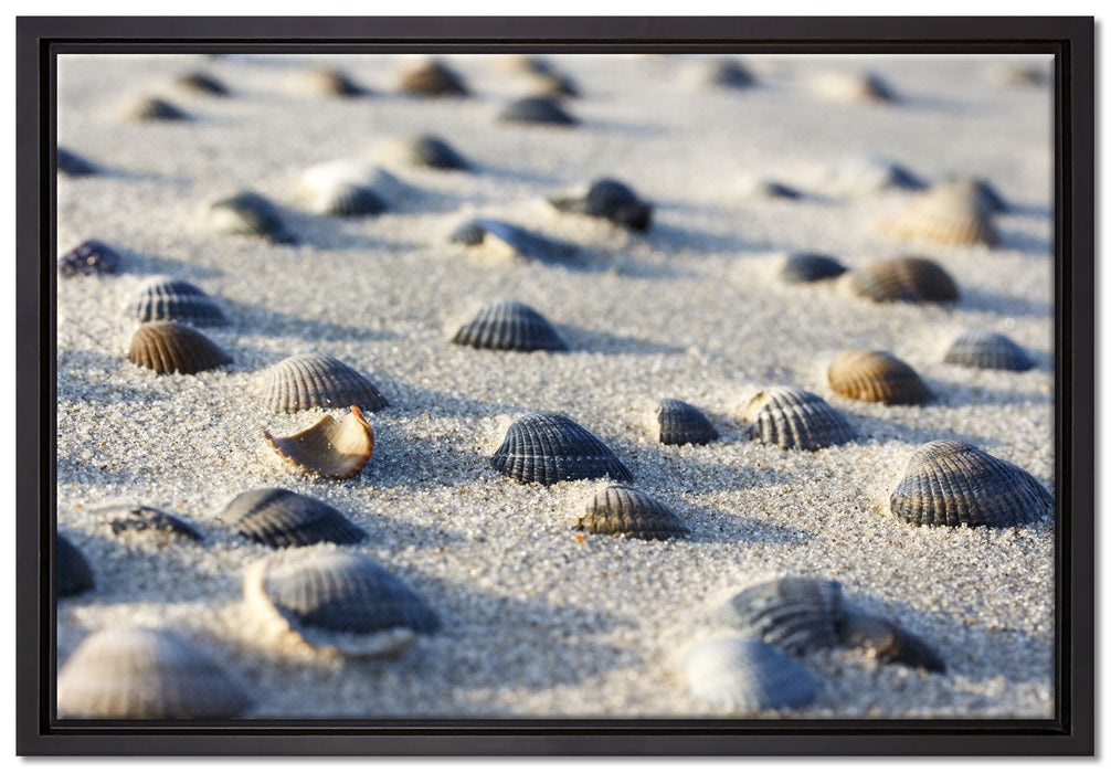 Muscheln im Sand auf Leinwandbild gerahmt Größe 60x40