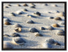 Muscheln im Sand auf Leinwandbild gerahmt Größe 80x60