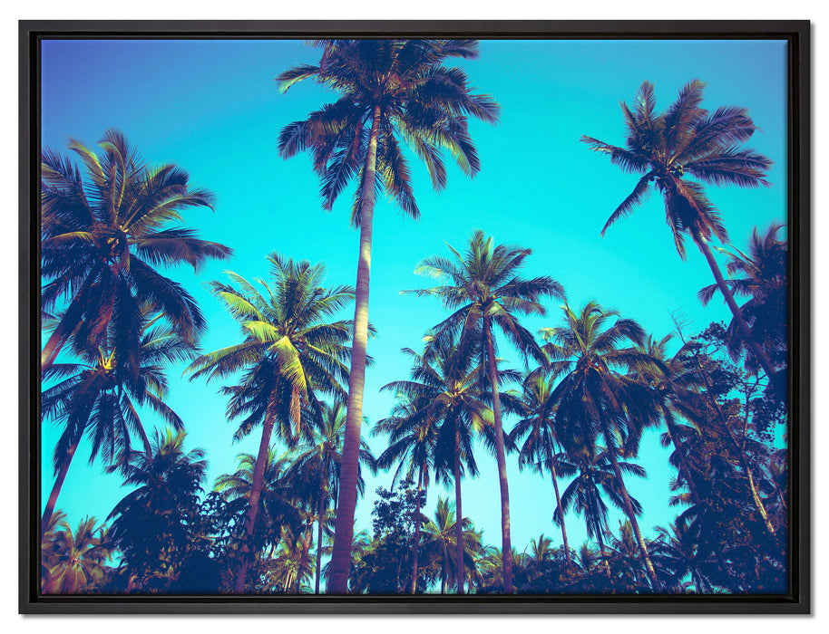 Tropische Palmen auf Leinwandbild gerahmt Größe 80x60