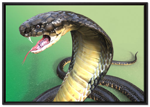 Nahaufnahme einer Cobra auf Leinwandbild gerahmt Größe 100x70