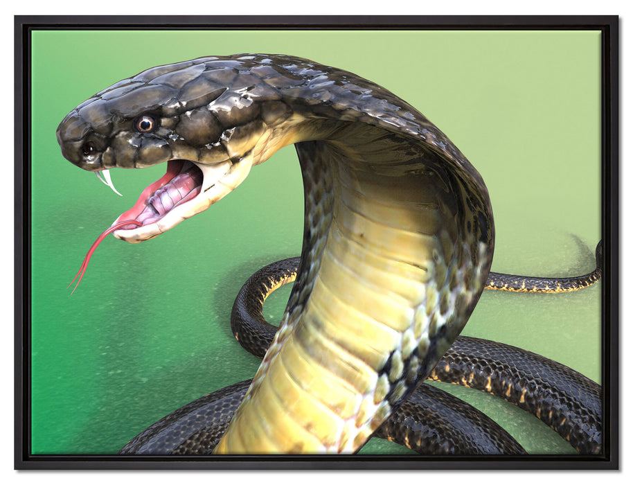 Nahaufnahme einer Cobra auf Leinwandbild gerahmt Größe 80x60