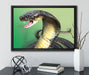 Nahaufnahme einer Cobra auf Leinwandbild gerahmt mit Kirschblüten