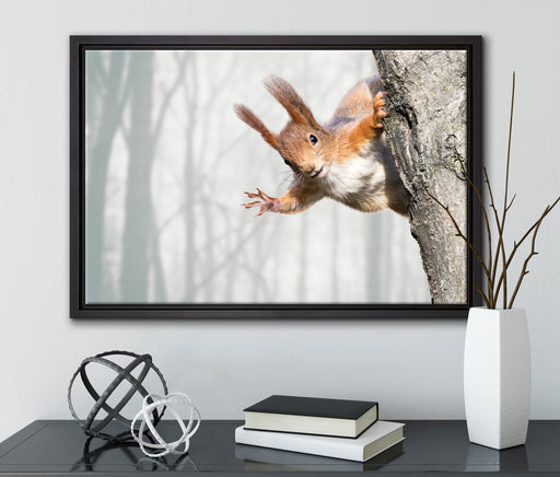 Neugierig rotes Eichhörnchen auf Leinwandbild gerahmt mit Kirschblüten