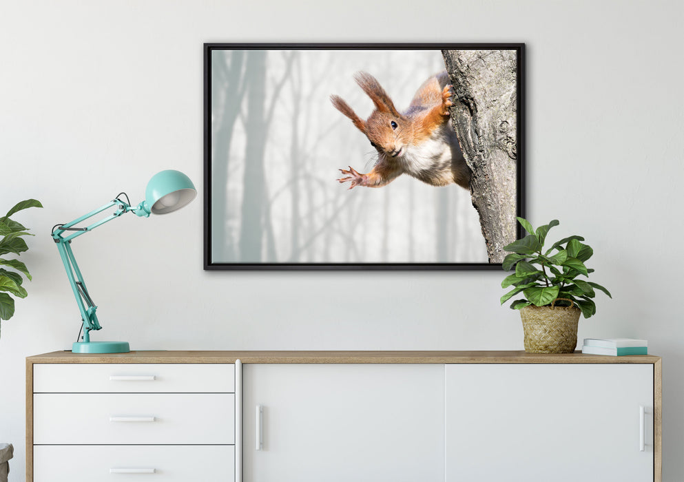 Neugierig rotes Eichhörnchen auf Leinwandbild gerahmt verschiedene Größen im Wohnzimmer