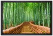 Kyoto Japan Bambuswald auf Leinwandbild gerahmt Größe 60x40
