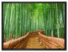 Kyoto Japan Bambuswald auf Leinwandbild gerahmt Größe 80x60