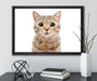 Katze Scottish Straight auf Leinwandbild gerahmt mit Kirschblüten