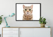 Katze Scottish Straight auf Leinwandbild gerahmt verschiedene Größen im Wohnzimmer
