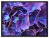 Blaue Hortensien Blüte auf Leinwandbild gerahmt Größe 80x60
