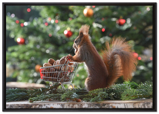 Eichhörnchen auf Leinwandbild gerahmt Größe 100x70