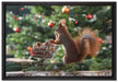 Eichhörnchen auf Leinwandbild gerahmt Größe 60x40