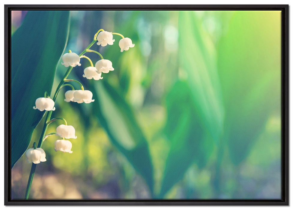 Blühende Maiglöckchen auf Leinwandbild gerahmt Größe 100x70