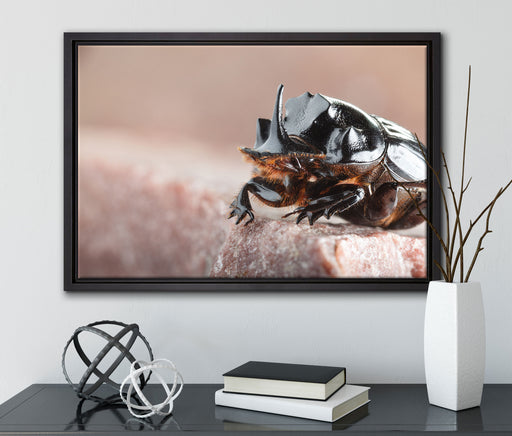 Nashornkäfer Porträt auf Leinwandbild gerahmt mit Kirschblüten
