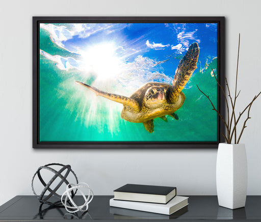 Grüne Meeresschildkröte auf Leinwandbild gerahmt mit Kirschblüten