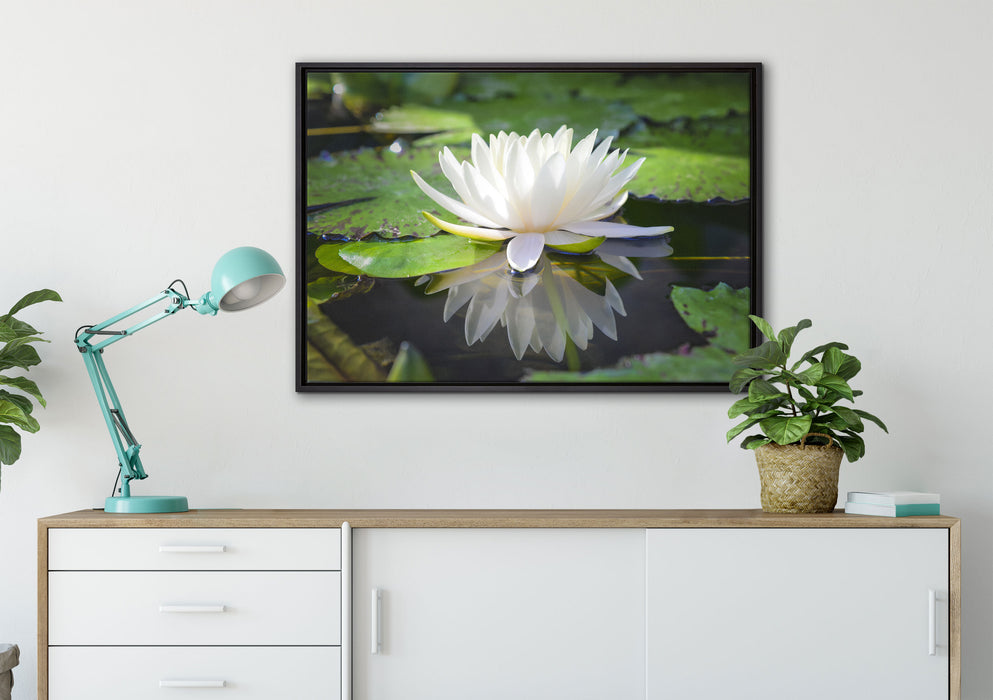Weiße Lotusblume im Wasser auf Leinwandbild gerahmt verschiedene Größen im Wohnzimmer