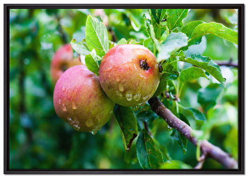Köstliche wilde Äpfel auf Leinwandbild gerahmt Größe 100x70