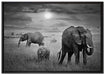 Elefanten in der Savanne auf Leinwandbild gerahmt Größe 100x70