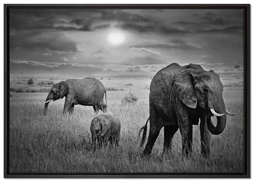 Elefanten in der Savanne auf Leinwandbild gerahmt Größe 100x70