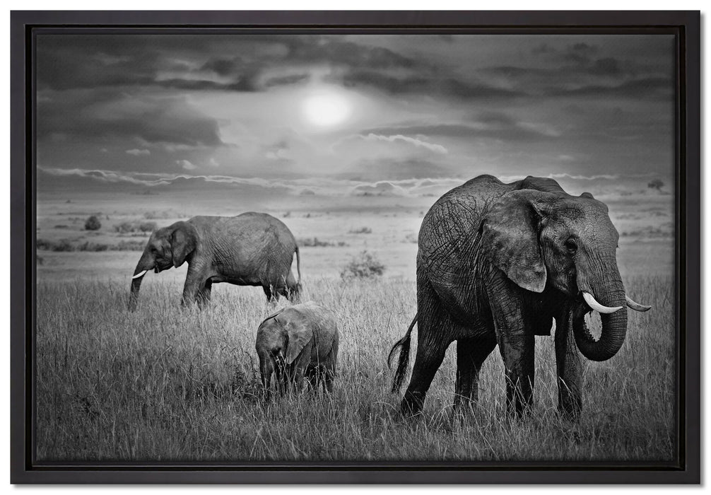 Elefanten in der Savanne auf Leinwandbild gerahmt Größe 60x40