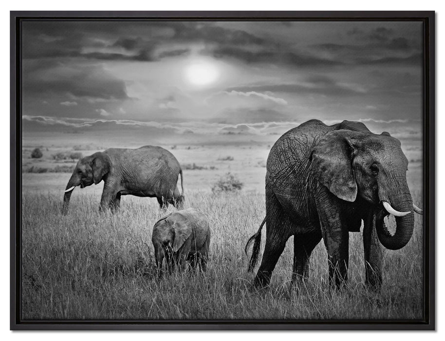 Elefanten in der Savanne auf Leinwandbild gerahmt Größe 80x60