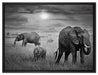 Elefanten in der Savanne auf Leinwandbild gerahmt Größe 80x60