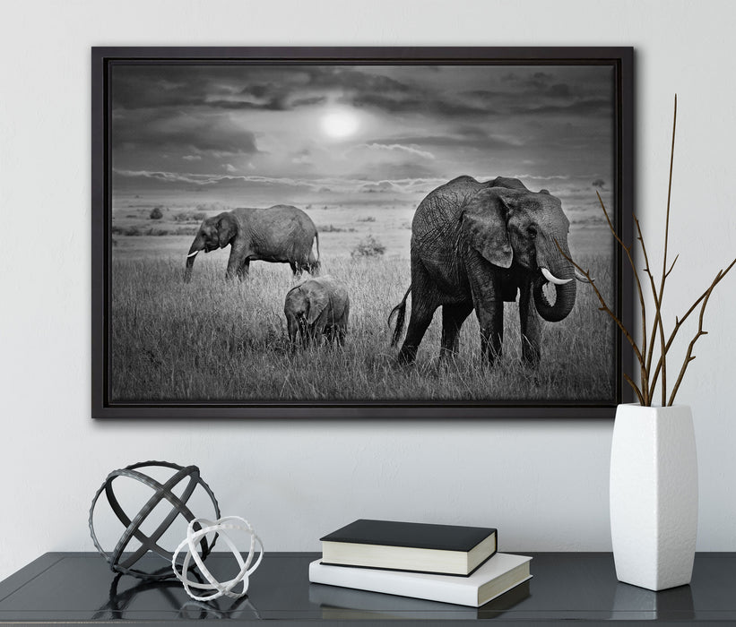 Elefanten in der Savanne auf Leinwandbild gerahmt mit Kirschblüten