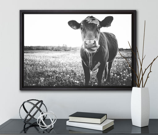 Kuh auf Butterblumenwiese auf Leinwandbild gerahmt mit Kirschblüten