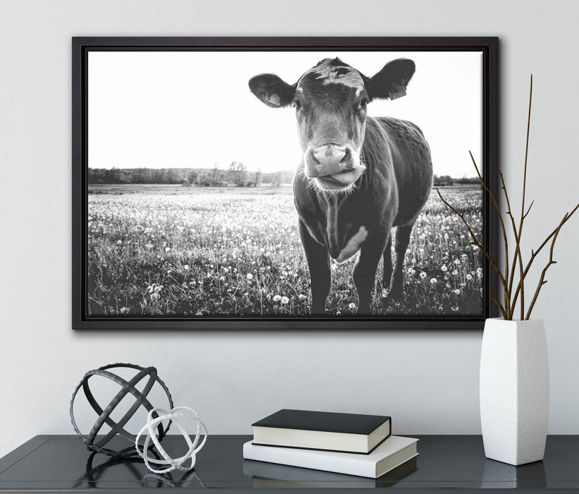 Kuh auf Butterblumenwiese auf Leinwandbild gerahmt mit Kirschblüten