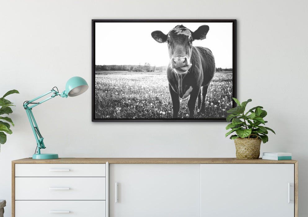 Kuh auf Butterblumenwiese auf Leinwandbild gerahmt verschiedene Größen im Wohnzimmer