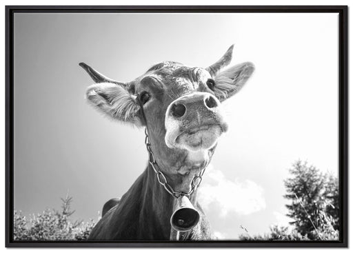 Portrait einer Kuh auf Leinwandbild gerahmt Größe 100x70