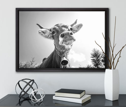 Portrait einer Kuh auf Leinwandbild gerahmt mit Kirschblüten