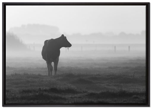 fressende Kuh auf der Weide auf Leinwandbild gerahmt Größe 100x70