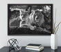 interessiertes Löwenpaar Kunst B&W auf Leinwandbild gerahmt mit Kirschblüten