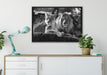 interessiertes Löwenpaar Kunst B&W auf Leinwandbild gerahmt verschiedene Größen im Wohnzimmer