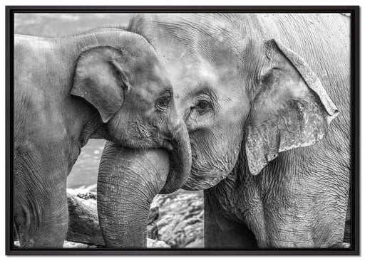 Elefantenmutter mit Kalb B&W auf Leinwandbild gerahmt Größe 100x70