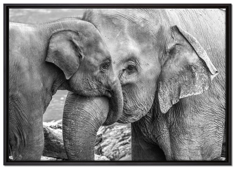Elefantenmutter mit Kalb B&W auf Leinwandbild gerahmt Größe 100x70
