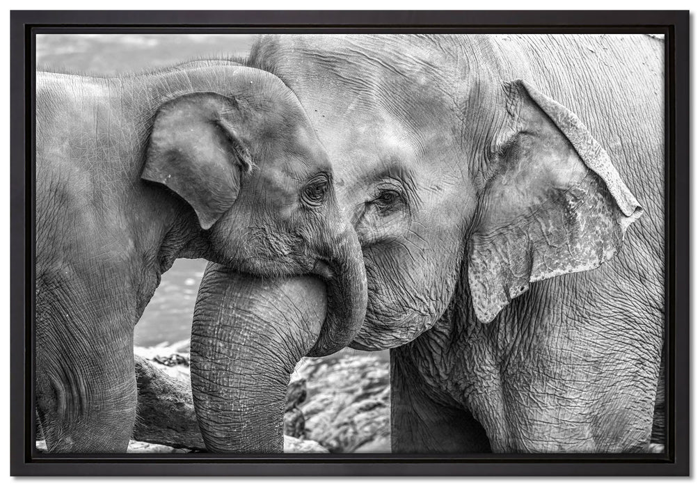 Elefantenmutter mit Kalb B&W auf Leinwandbild gerahmt Größe 60x40