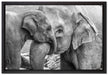 Elefantenmutter mit Kalb B&W auf Leinwandbild gerahmt Größe 60x40